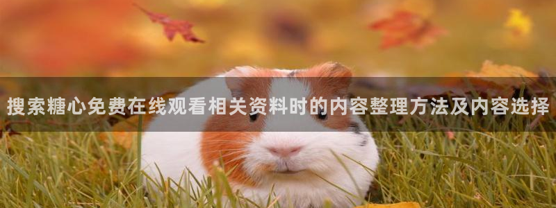 破解版糖心:搜索糖心免费在线观看相关资料时的内容整理方法及内容选择