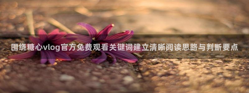 糖心vlog官方免费观看:围绕糖心vlog官方免费观看关键词建立清晰阅读思路与判断要点