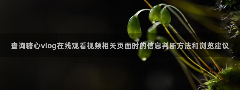 糖心vlog御梦子