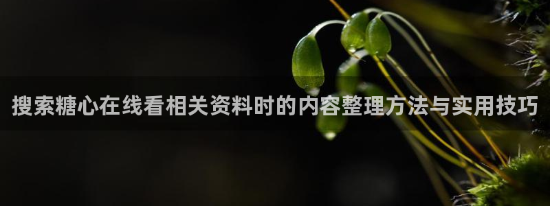 糖心vlog网址进入
