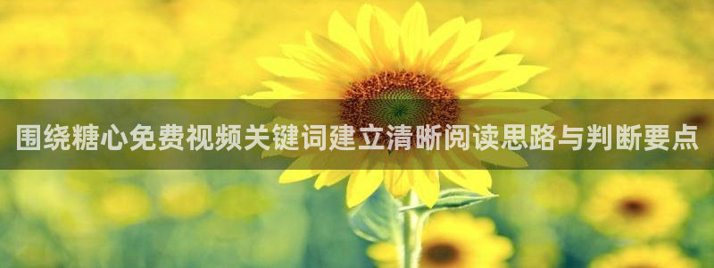 糖心原创：围绕糖心免费视频关键词建立清晰阅读思路与判断要点