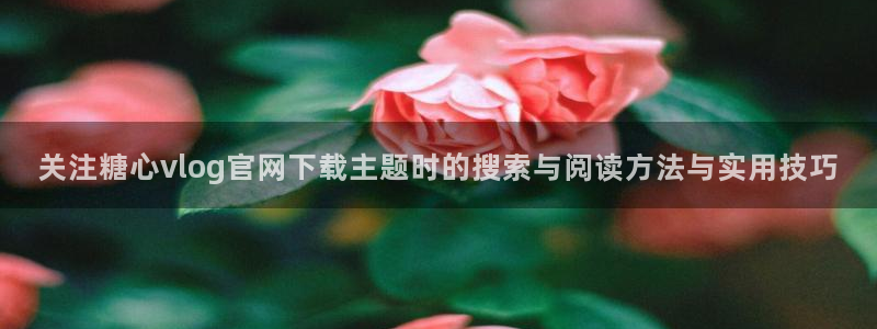 糖心正版：关注糖心vlog官网下载主题时的搜索与阅读方法与实用技巧