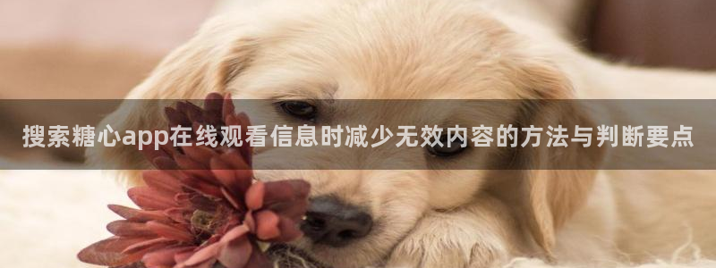 糖心vlog在线观看免费
