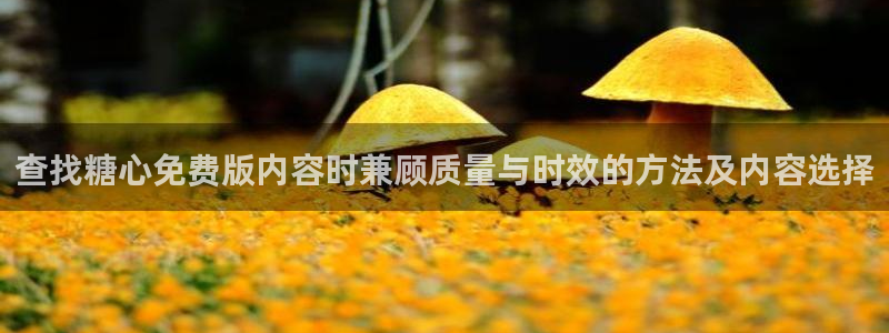 糖心vlog在线观看免费高清